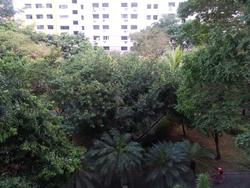 Blk 734 Woodlands Circle (Woodlands), HDB 4 Rooms #63585352